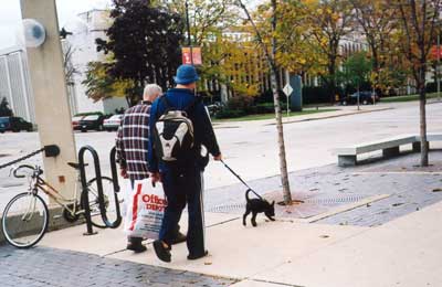 Two men walking small black dog