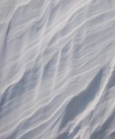 snow with patterns from the wind